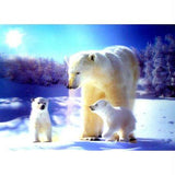 Polar Bears