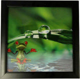 Iconic 3D 30x30cm - Spa Frog