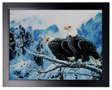 Iconic 3D 44x34cm - Eagles on Branch