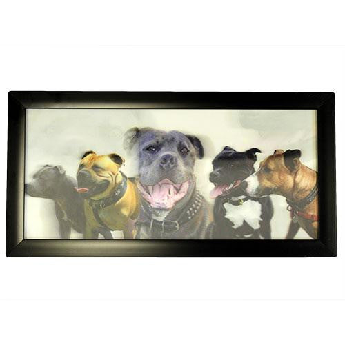 Iconic 3D 23x50cm - Big Bad Dogs