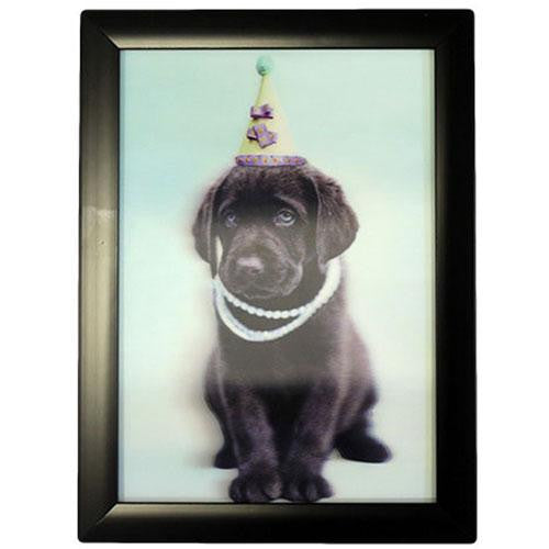 Iconic 3D 25x35cm - Birthday Puppy