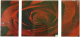 Mega Rose - Left 60 x 30cm Middle 60 x 60cm Right 60 x 30cm