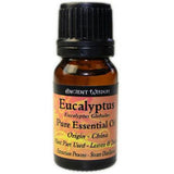 Eucalyptus Essential Oil