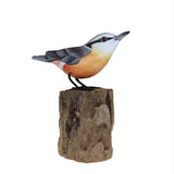 Nuthatch