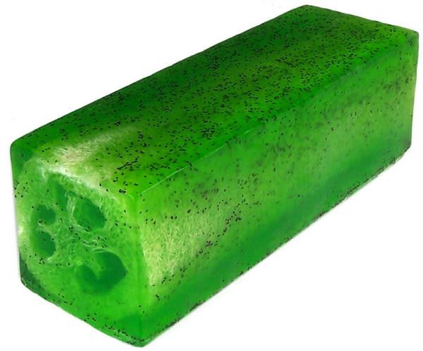 Lime & Thyme Loofah Soap