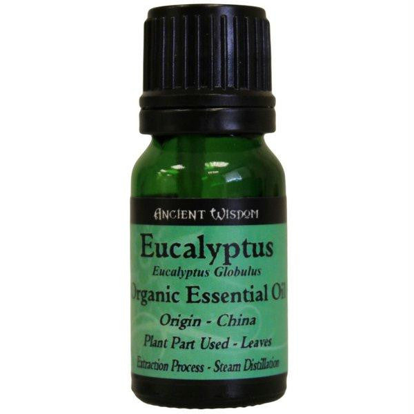 Eucalyptus Organic Essential Oil