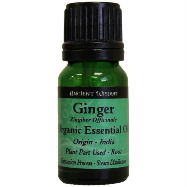 Ginger Organic Essential Oil