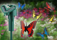 Solar Butterflies &amp; Birds