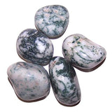 Tree Agate Large Tumble Stones