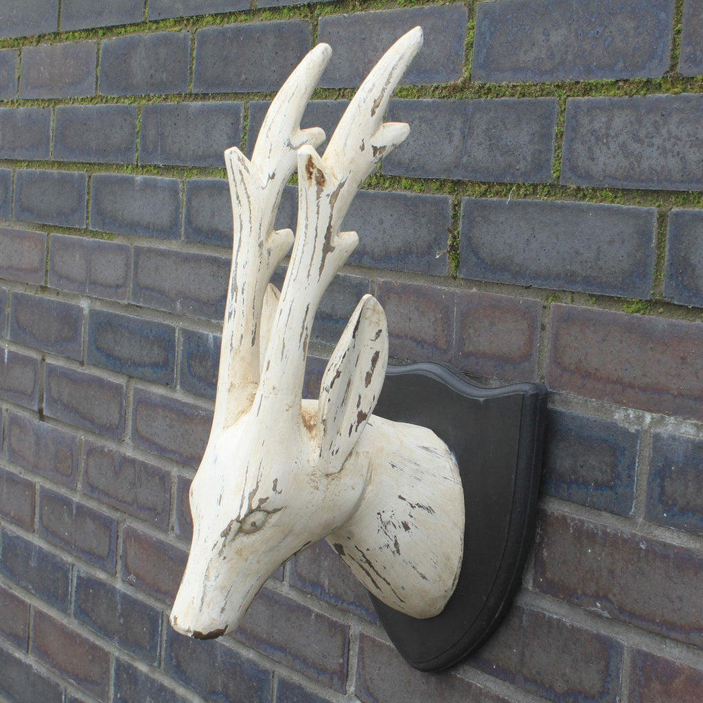 Whitewash Straight Horn Deer Head