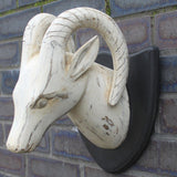 Whitewash Curved Horn Deer Head